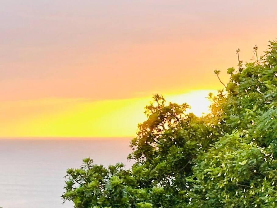 Apartament Sea View Sun Centre Plettenberg Bay Zewnętrze zdjęcie